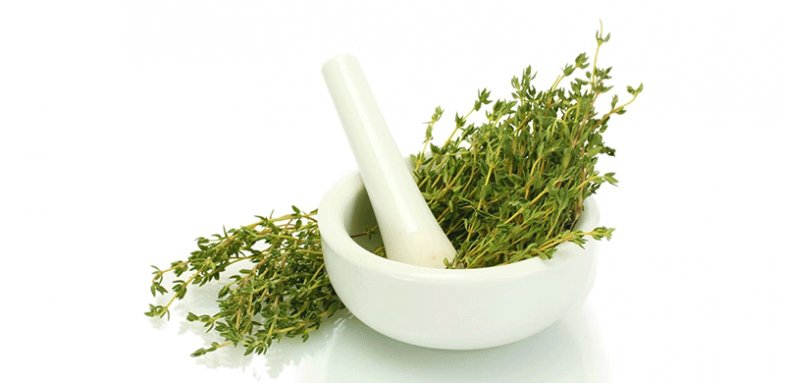 آویشن از منظر طب سنتی