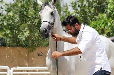 زندگی لاکچری علیرضا واحدی نیکبخت + عکس