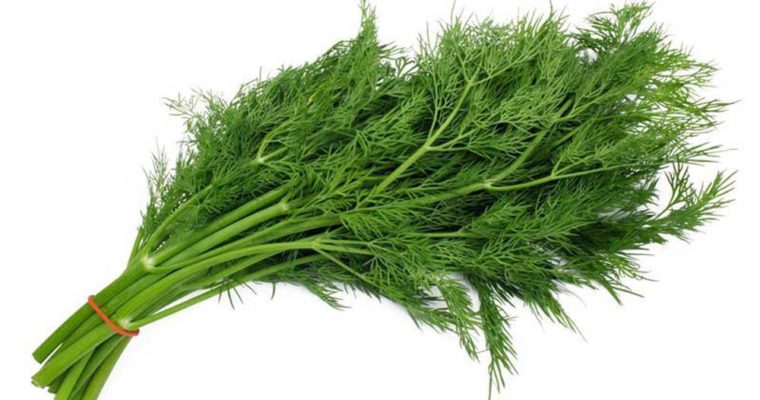 این سبزی معجزه می کند!
