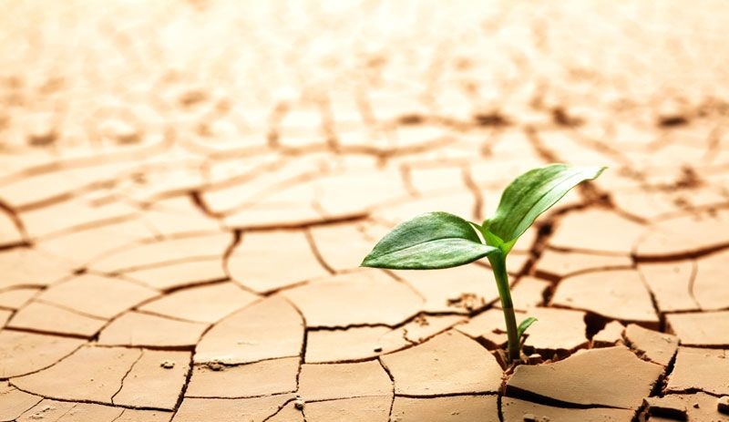 نابودی 75 درصد از منابع آب شیرین 
