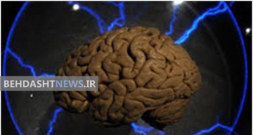 کنگره علوم اعصاب پایه و بالینی برگزار می‌شود