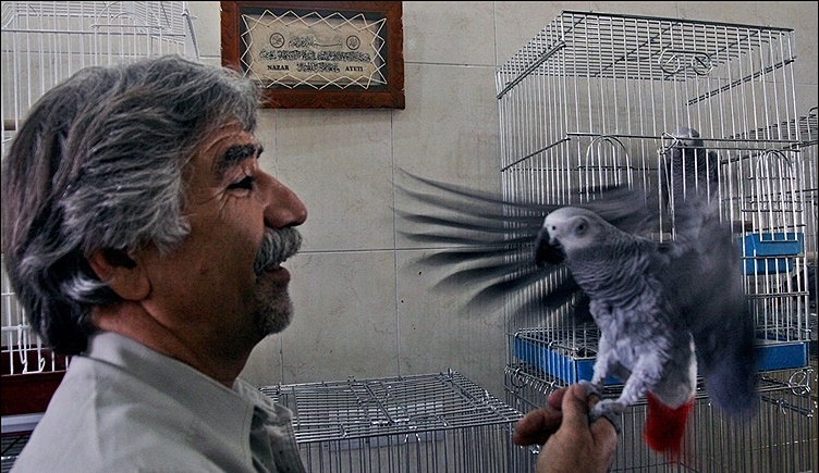 هیچ تخلفی در بازار پرندگان صورت نمی‌گیرد
