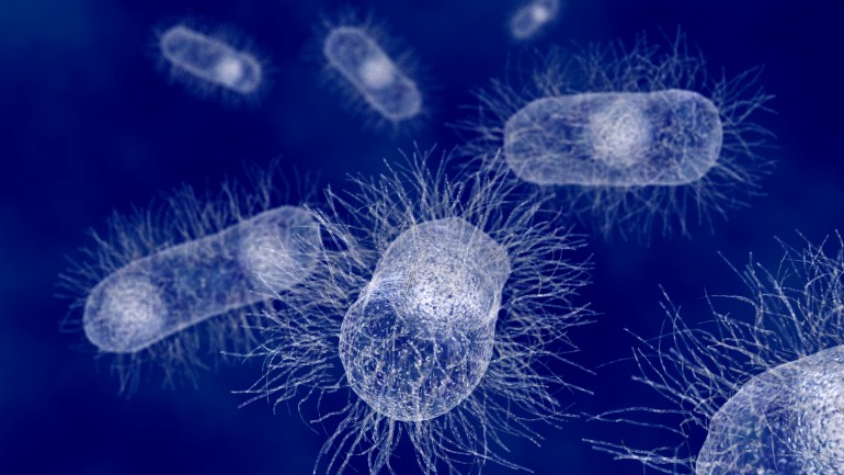 راهی جدید برای نابودی باکتری های عفونت زا