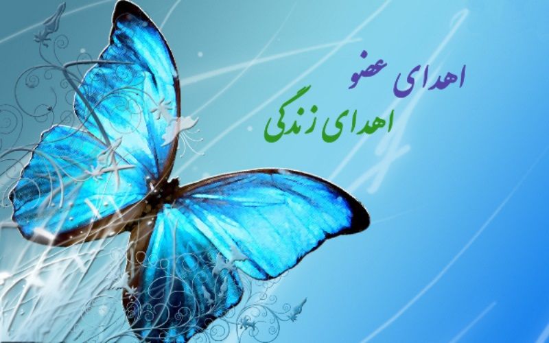 اهدای عضو به سه بیمار زندگی بخشید