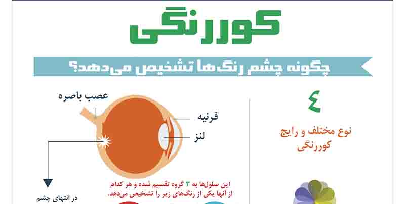 کوررنگی /اینفوگرافیک