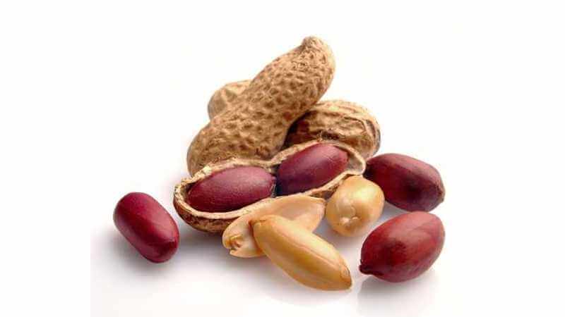  پیشگیری از ابتلای کودک‌ به آلرژی با مصرف یک خوراکی در دوران شیردهی!