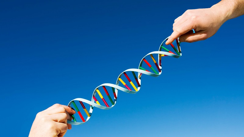 روشی جدید برای  درمان اختلال ژنتیکی در جنین انسان 