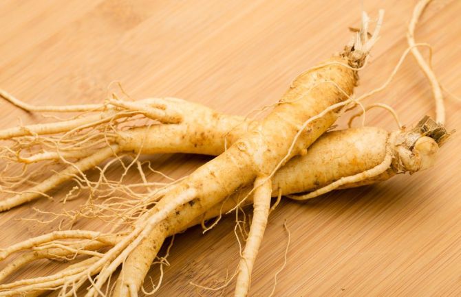 اغراق در خواص گیاه «جینسینگ»!