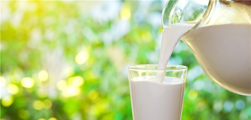  بازار داغ تقلب در تولید شیر و مواد لبنی 