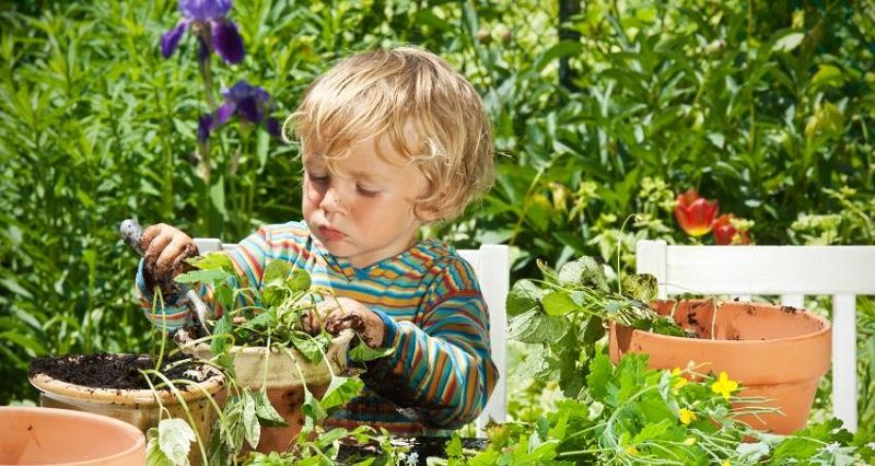  روشهایی کم هزینه برای سرگرم کردن کودکان 