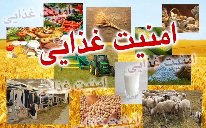 امنیت غذایی روستاهای ایران در معرض تهدید