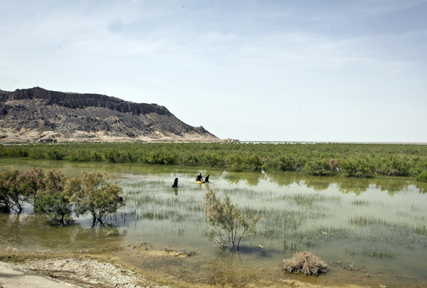 قبل از خشکی هامون و دریاچه ارومیه،مسئولیت اجتماعی خشک شد