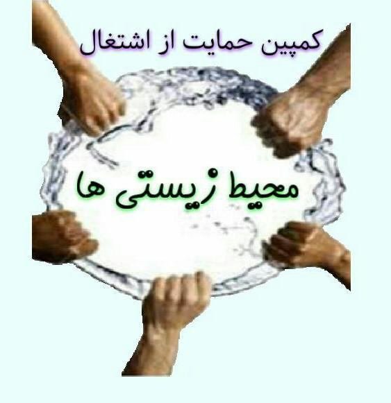  فارغ‌التحصیلان بیکار محیط زیست چشم انتظار مصوبه مجلس