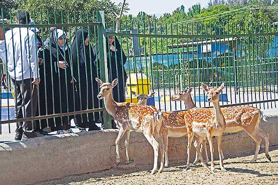  پلمب باغ وحش امامزاده داود در دستور کار مسئولان محیط زیست تهران 