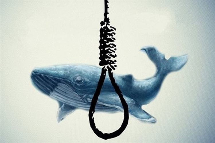 دیدگاه وزارت بهداشت در خصوص چالش نهنگ آبی