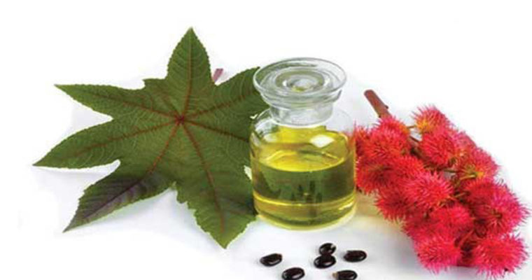 روغن کرچک در کاهش درد موثر است