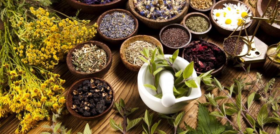 این نکات را رعایت کنید تا دچار مسمومیت گیاهان دارویی نشوید 