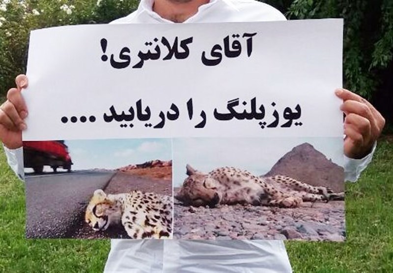  برنامه‌ای که برای یوز دارند جواب نداده و باید عوض شود
