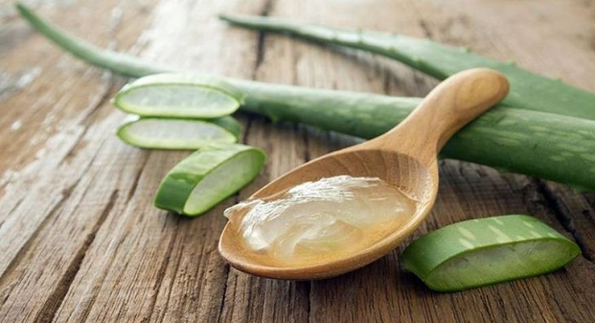 ۸ خاصیت آنتی اکسیدانی آلوئه ورا را بشناسید