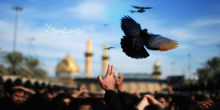 ببینید/نام یار ایرانی امام حسین (ع) در کربلا  چه بود؟ 