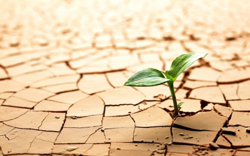هنوز جای امیدواری هست 