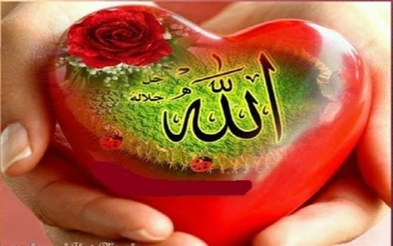 ظرف قلب را تنها از علم پر کنید