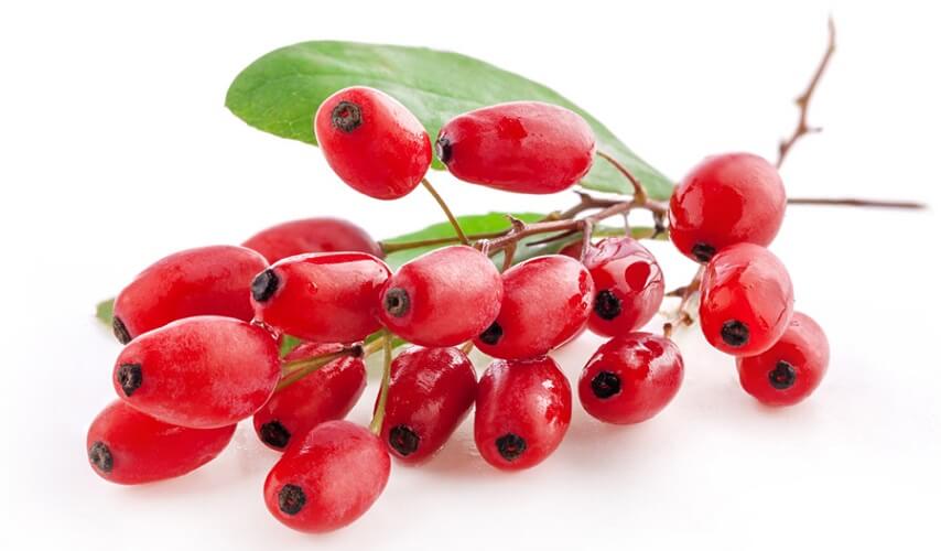 همه آنچه باید  از زرشک پلویی و آبگیری بدانید