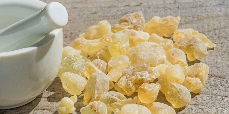 از این گیاه معجزه آسا غافل نشوید
