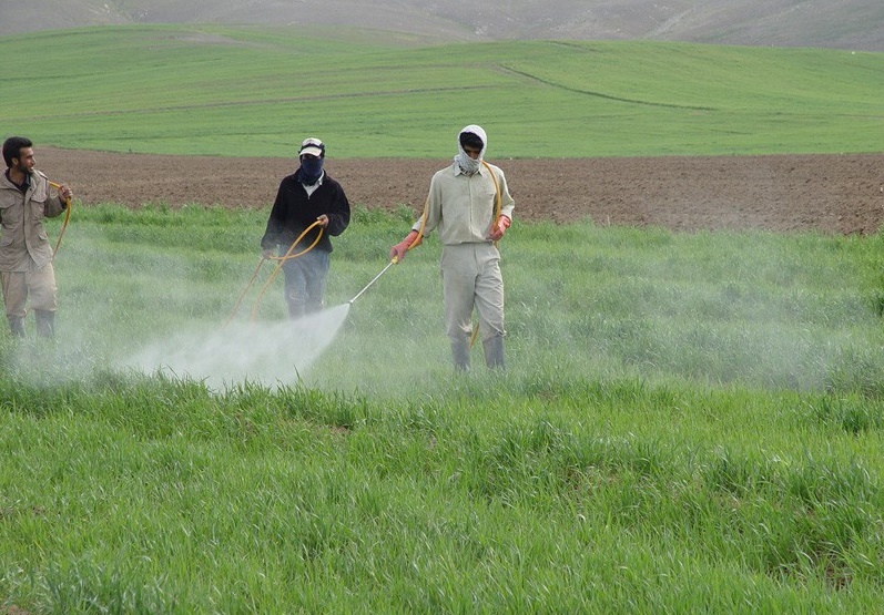 تسهیل ورود سموم مرغوب به کشور با توافق هسته ای 