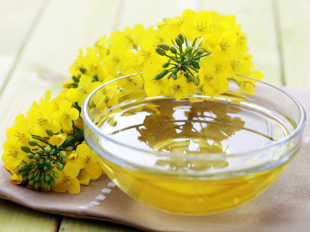  خاصیت‌های بی نظیر روغن کلزا که شاید ندانید