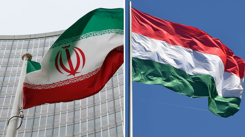 همکاری ایران ومجارستان در زمینه دارو وتجهیزات پزشکی