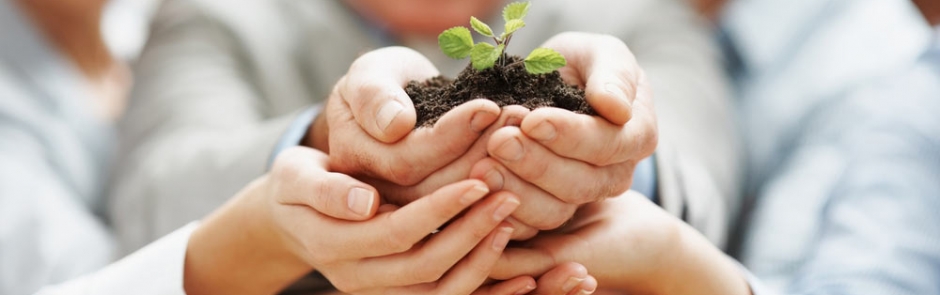 زمان طلایی استفاده از خدمات کاردرمانی