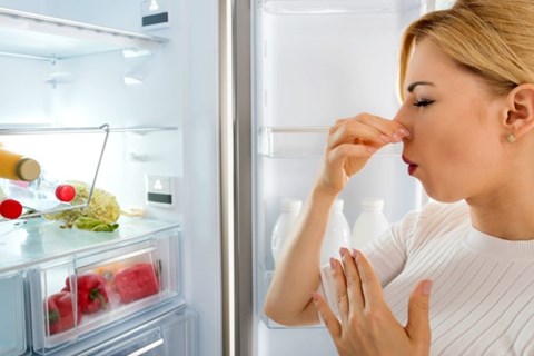  با بوی بد یخچال چه کنیم؟