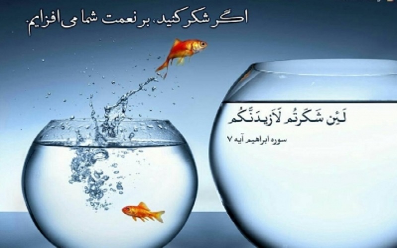 ویژگی انسان های ناسپاس و شاکر