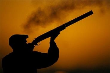 عامل شکار غیرمجاز یک بز وحشی بهمراه اسلحه قاچاق در ارتفاعات آمل دستگیر شد