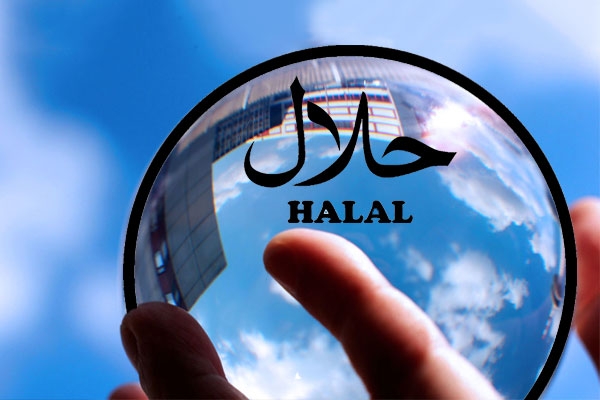 بازار محصولات حلال یک فرصت اقتصادی بزرگ است