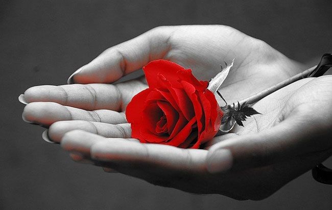 گروهی که بدون حسابرسی وارد بهشت می شوند 