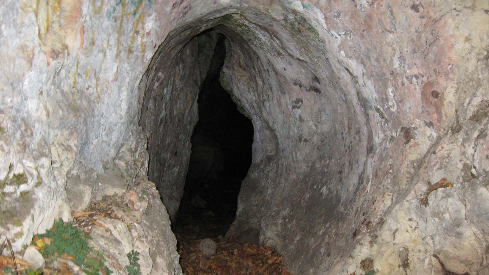 نجات گردشگران گرفتار در غار 