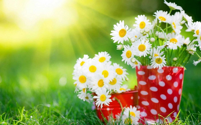 زیباترینِ زیبایی جوانان در جوانی 