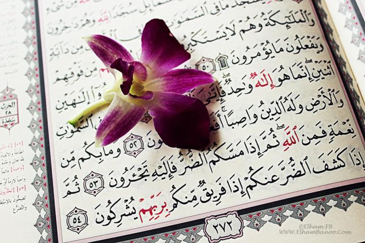 اولین نشست تخصصی قرآن و محیط زیست برگزار شد