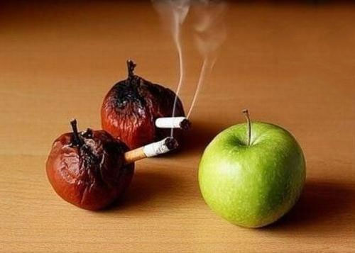  نگرش مثبت ۲۸ درصد ۱۵ تا ۶۴ ساله‌ها به مصرف مواد مخدر 