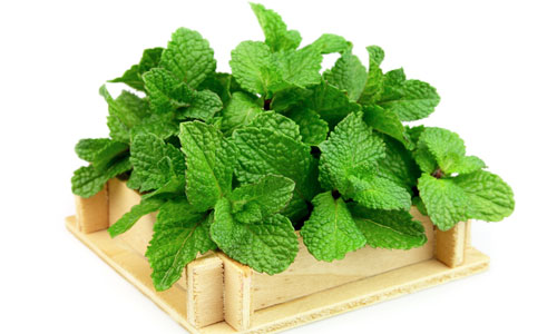  6 سبزی با خواصی شگفت انگیز