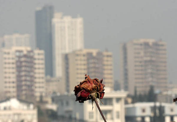 تهران در انتظار 