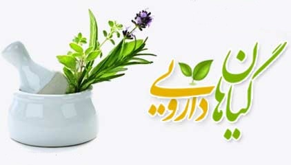 تصویب 120 نام فارسی و علمی برای گیاهان دارویی ایرانی