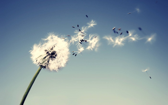  برای از بین بردن غرورمان چه باید کرد؟