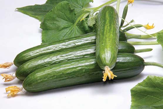 میوه ای همه کاره، از مبارزه با سرطان تا چربی سوزی