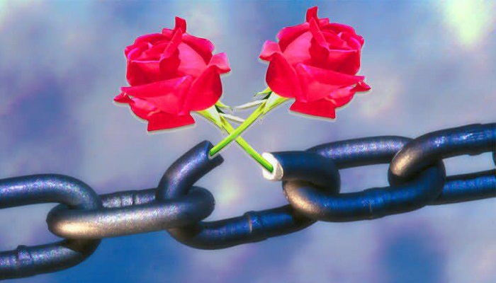 عملی که ثوابش از نماز بالاتر است 