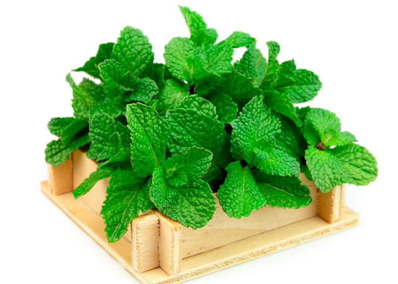 آرام بخش طبیعی
