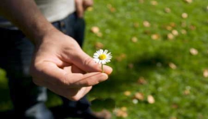 عذرخواهی در نگام اسلام 
