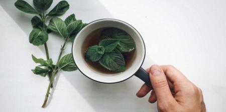 با مصرف این گیاه به آرامش برسید